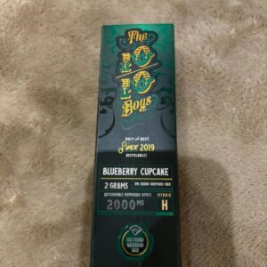 Buy The 1010 Boys Disposable Blueberry Cupcake