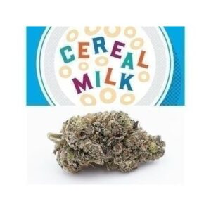 Buy Cereal Milk Cookies Strain