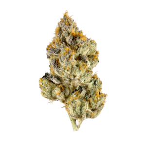 Buy Lemon Cherry Gelato Weed 