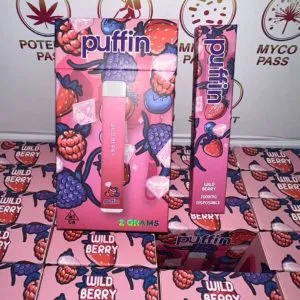 Puffin Disposable 2g