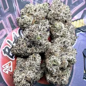 White Gushers | White Gushers Strain | Buy White Gushers