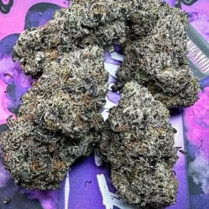 White Truffle Strain | Buy White Truffle Strain Online