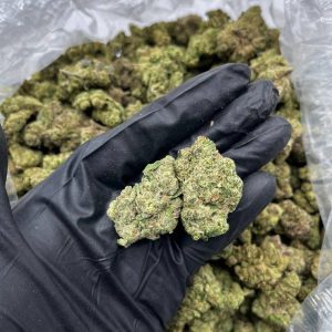 Hi Chew Strain | Buy Hi Chew Strain Online