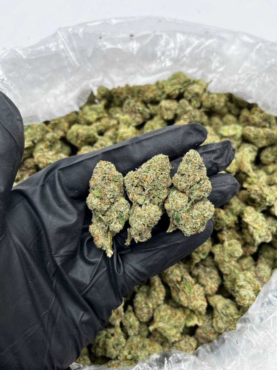 Pink Runtz Strain | Pink Runtz Weed Strain For Sale