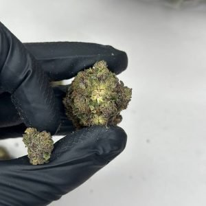 Laffy Taffy Strain | Buy Laffy Taffy Weed Strain