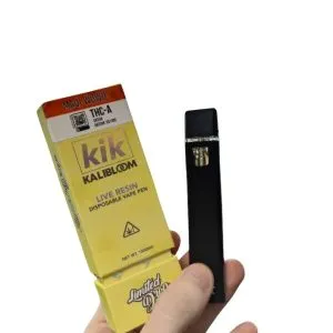 Kik disposable