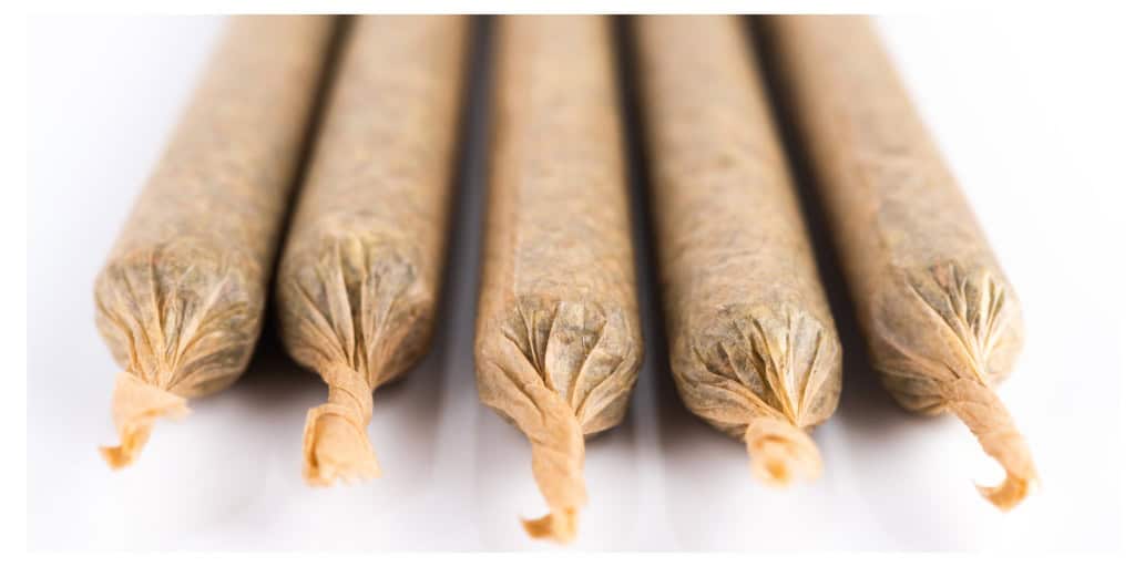 Top Indica Pre Rolls You Need to Try 2026